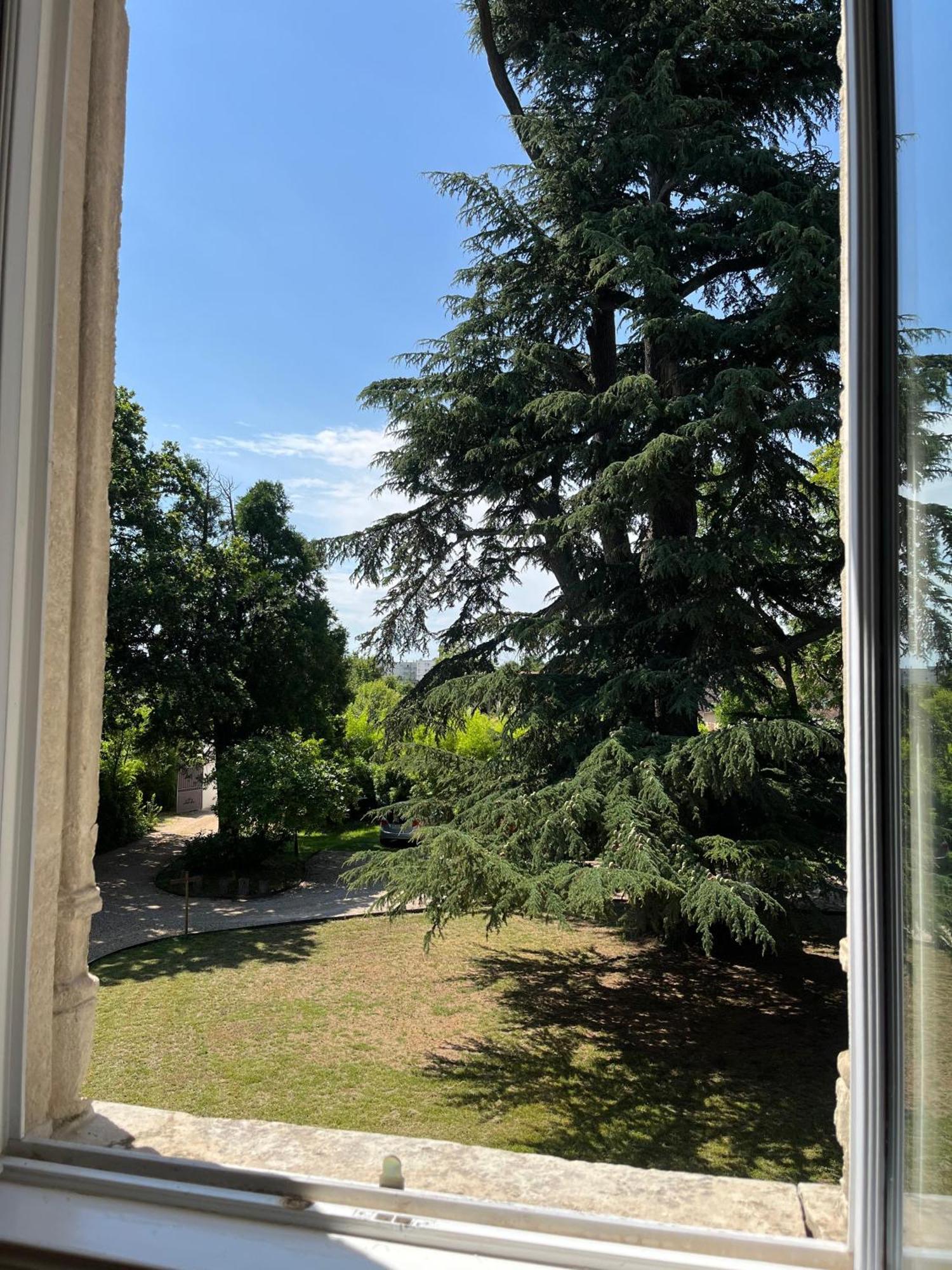 Le Clos Du Cedre Saint-Ouen  Zewnętrze zdjęcie